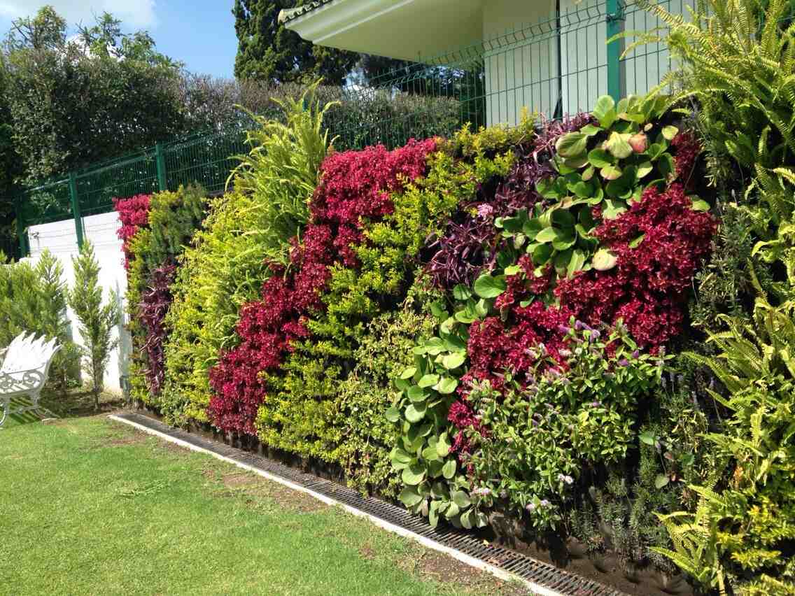 Vertical Garden Installation by Garden Guys - Add living walls and green beauty to urban spaces